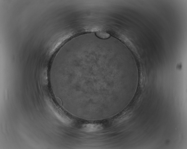 X0000116800251200912181324