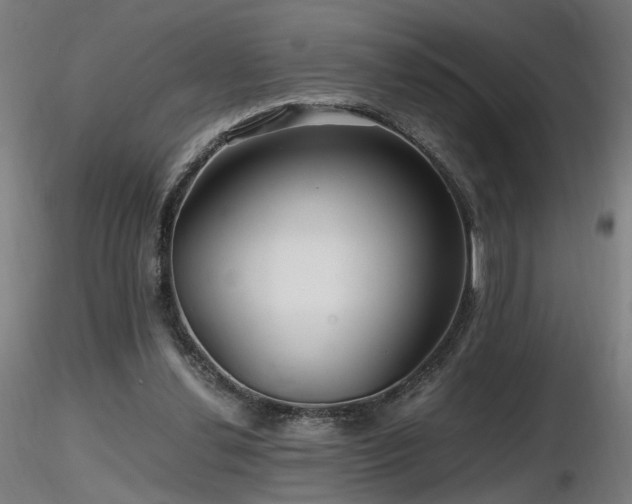 X0000116800252200912181324