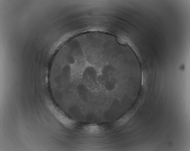 X0000116800253200912181324