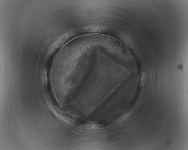 X0000116800254200912181324