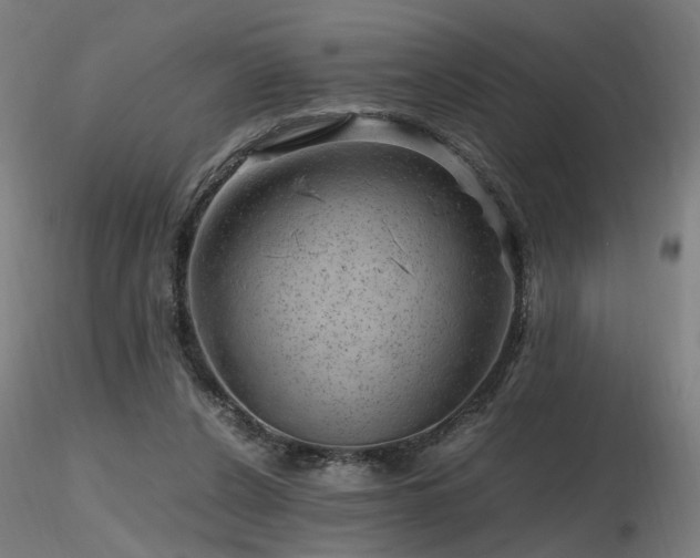 X0000116800256200912181324