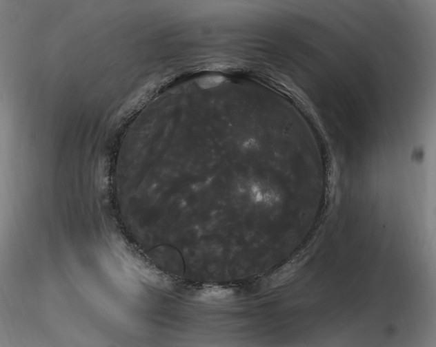 X0000116800257200912181324