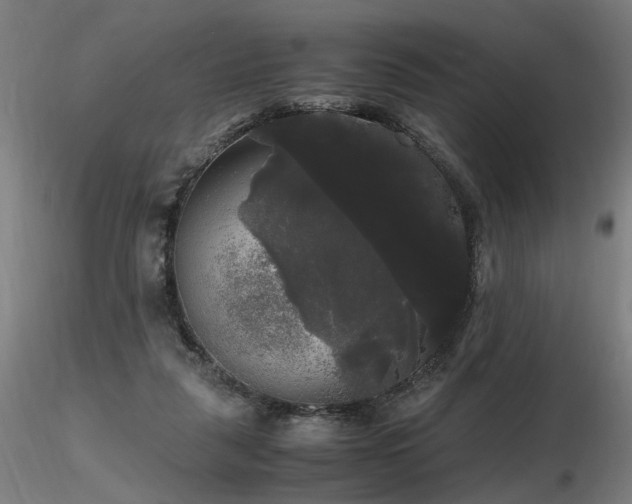 X0000116800259200912181324