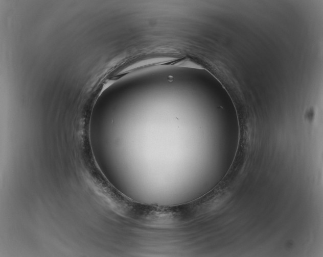 X0000116800260200912181324