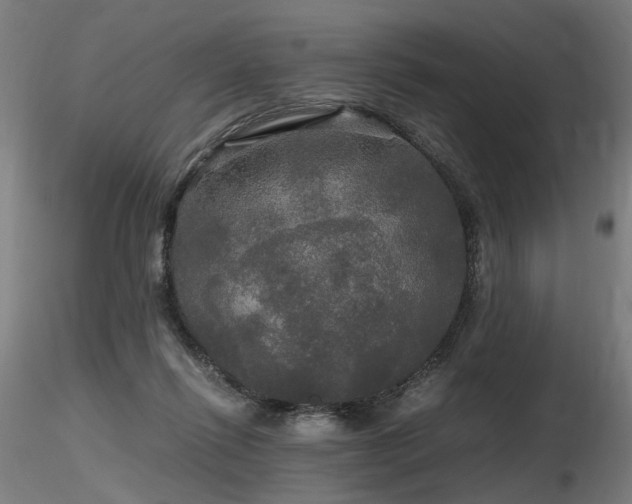 X0000116800262200912181324