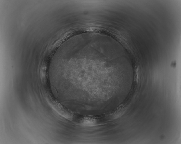 X0000116800263200912181324