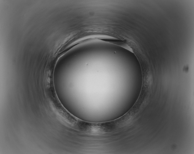 X0000116800264200912181324