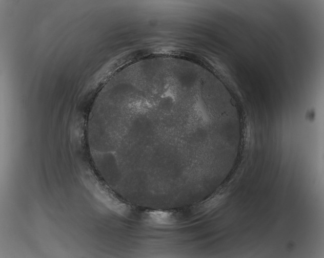 X0000116800265200912181324