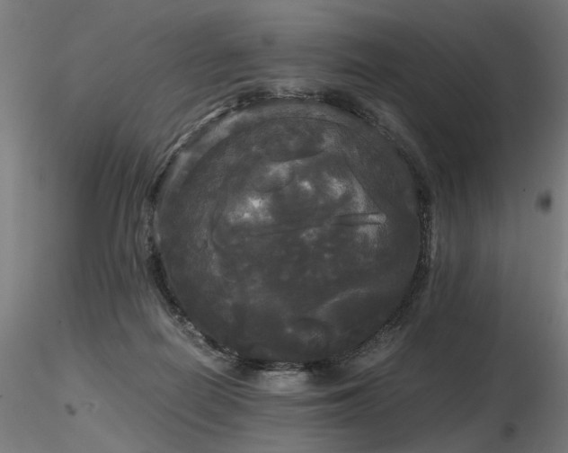 X0000116800266200912181324