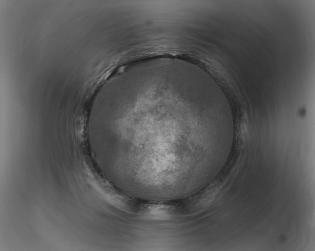 X0000116800268200912181324