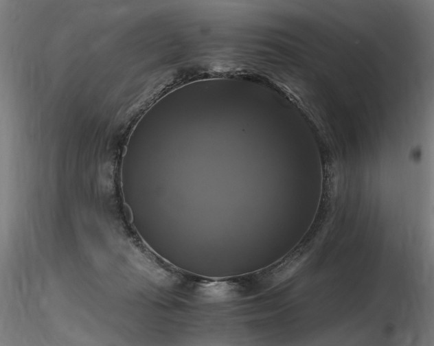 X0000116800269200912181324