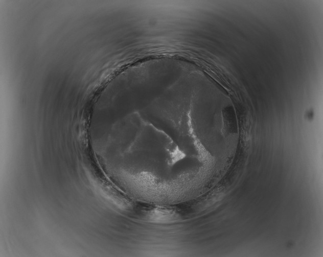 X0000116800270200912181324