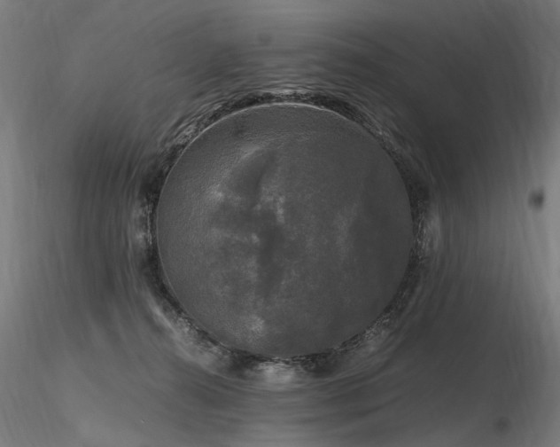 X0000116800272200912181324