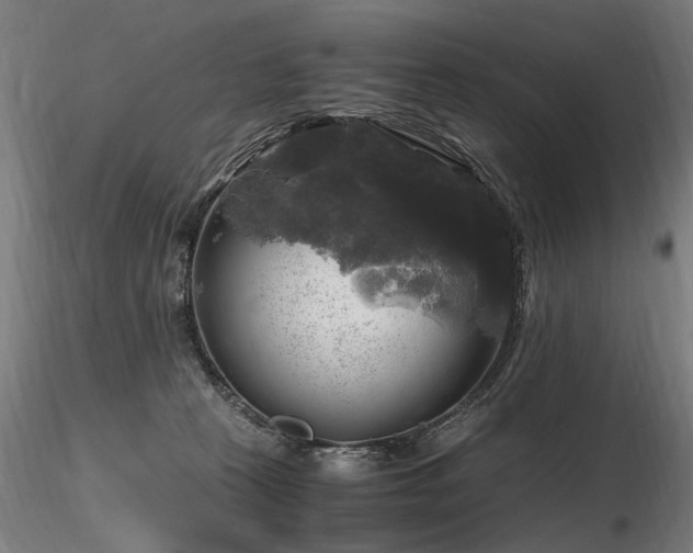 X0000116800273200912181325