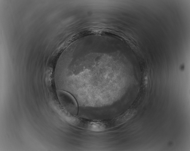 X0000116800275200912181325