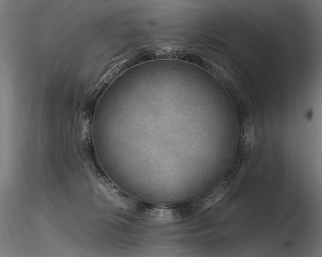 X0000116800276200912181325