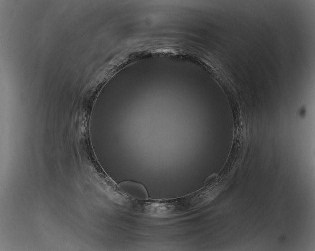 X0000116800277200912181325