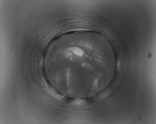 X0000116800278200912181325