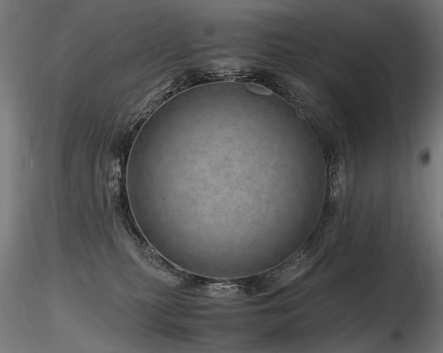 X0000116800279200912181325