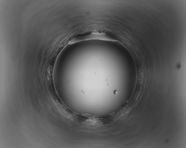 X0000116800280200912181325