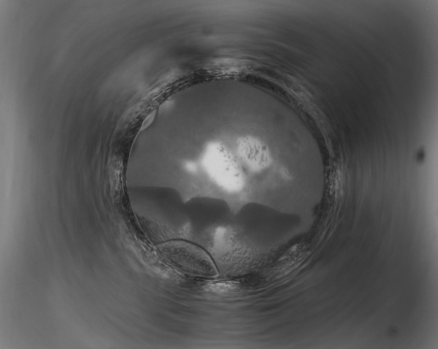 X0000116800283200912181325