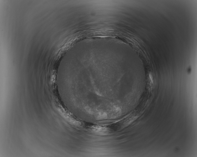 X0000116800284200912181325