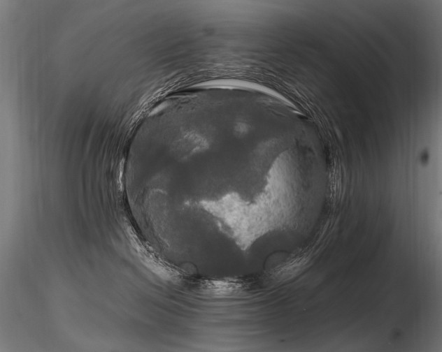 X0000116800286200912181325