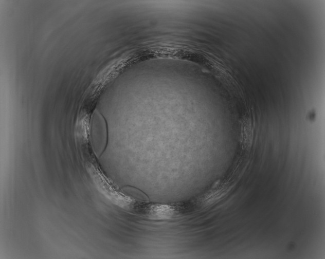 X0000116800287200912181325