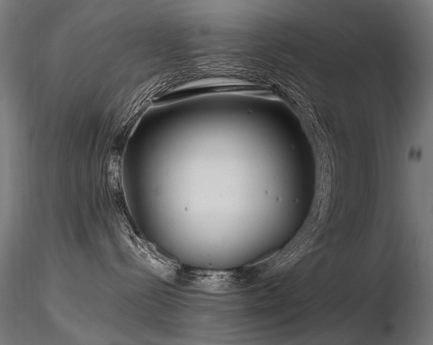 X0000116800288200912181325