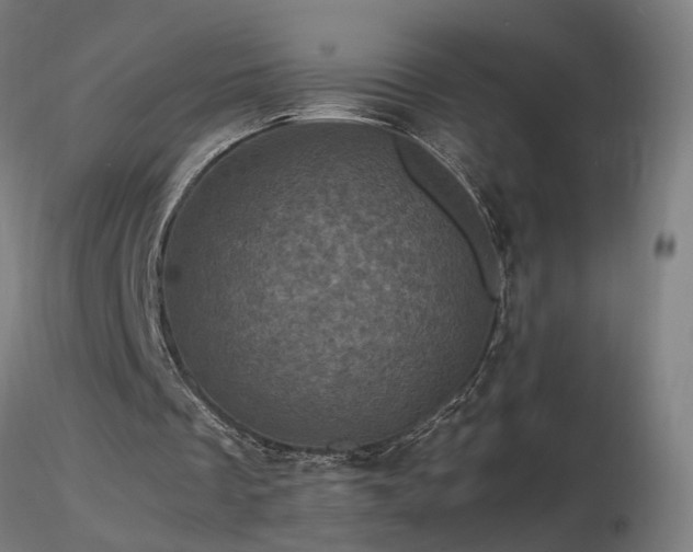 X0000116800289200912181324