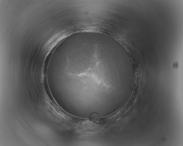 X0000116800290200912181324