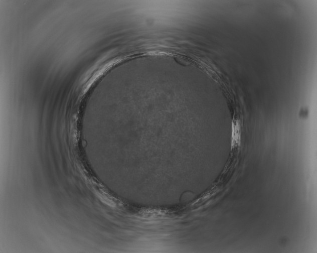 X0000116800291200912181324