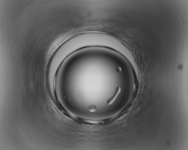 X0000116800293200912181324