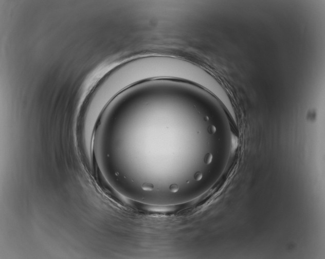 X0000116800294200912181324