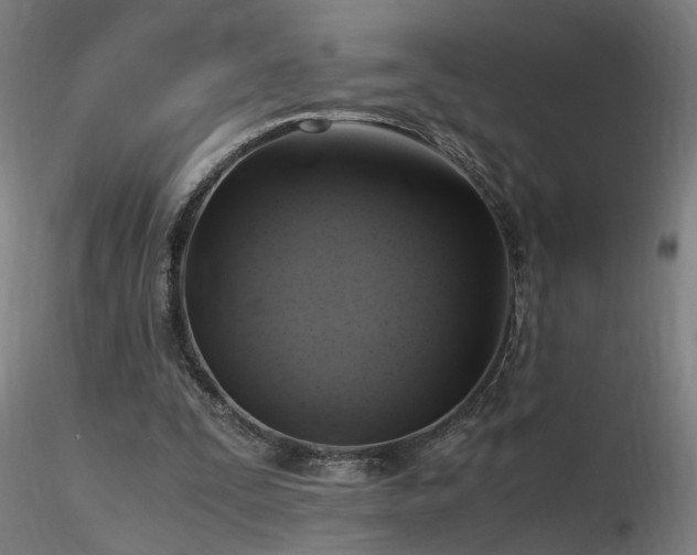 X0000116800295200912181324