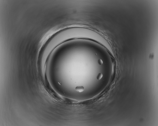 X0000116800296200912181324