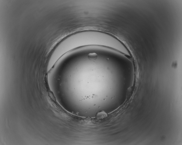 X0000116800297200912181324