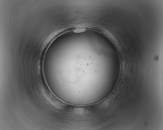 X0000116800298200912181324