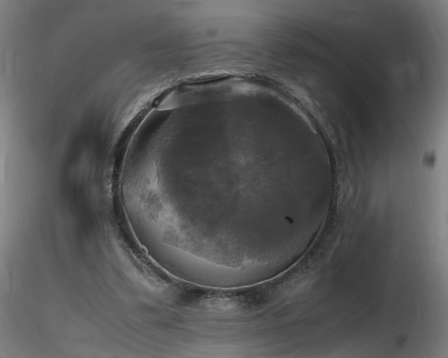 X0000116800299200912181324