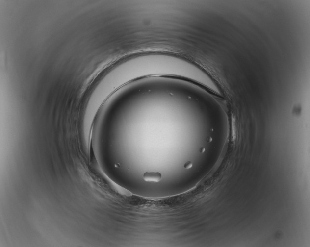 X0000116800300200912181324