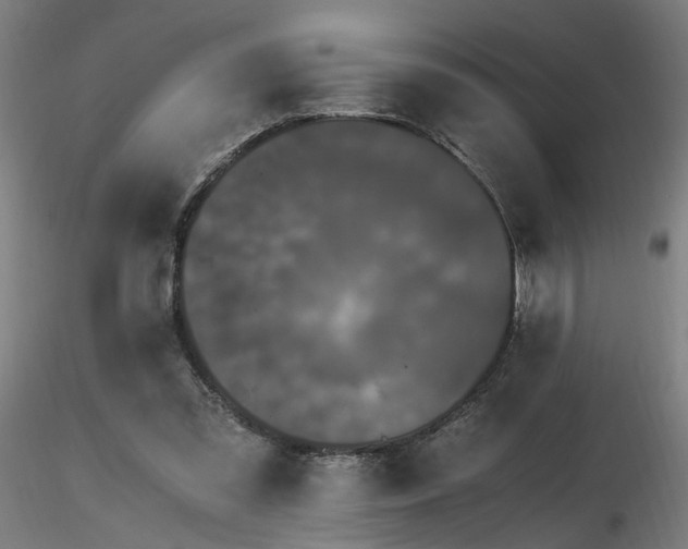 X0000116800301200912181324