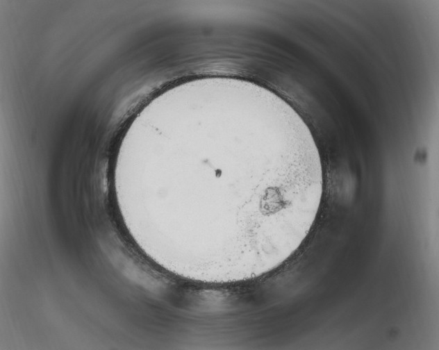 X0000116800302200912181324