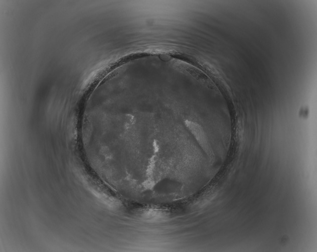 X0000116800303200912181324