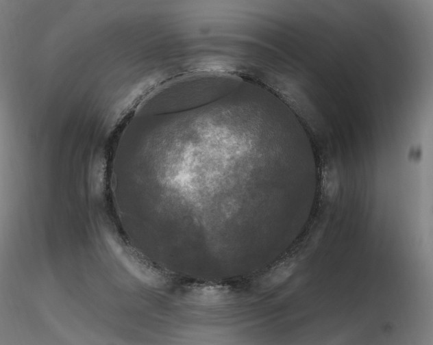 X0000116800304200912181324