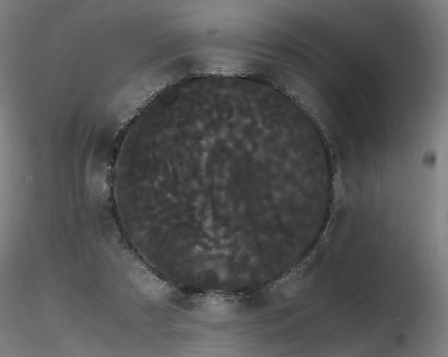 X0000116800305200912181324