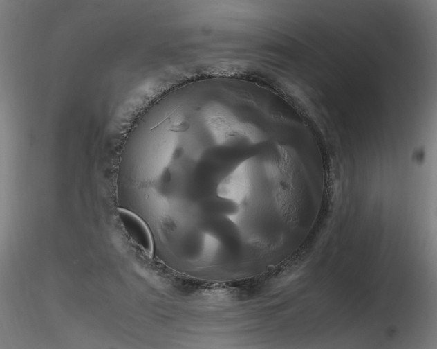 X0000116800307200912181324