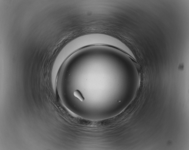 X0000116800308200912181324