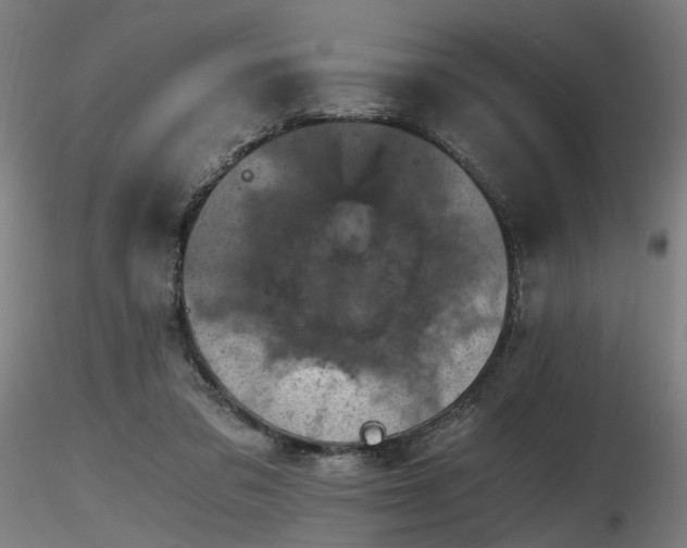 X0000116800309200912181323