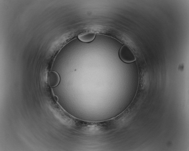 X0000116800310200912181323