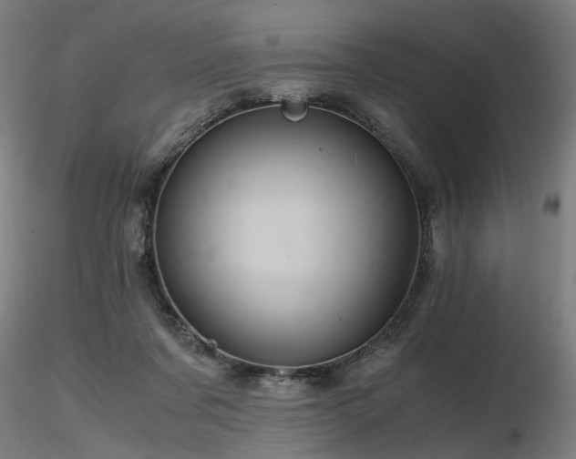 X0000116800311200912181323